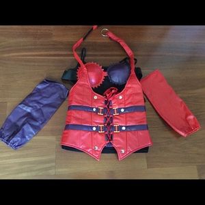Sexy Harley Quinn Costume
